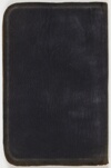 FL10037099