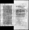 FL14372889